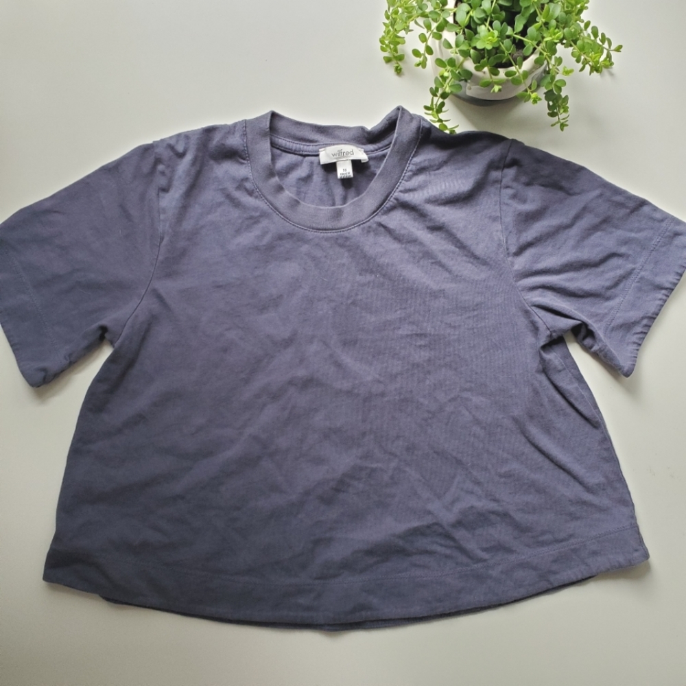 Wilfred Aritzia Weekend Crop Tee Blue
